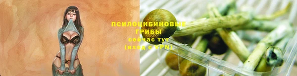 стафф Армянск