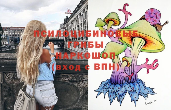 герыч Арсеньев