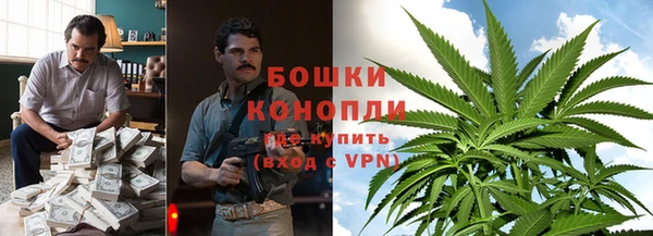 стафф Армянск