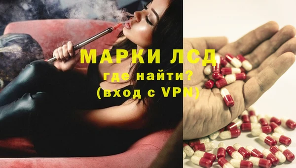 стафф Армянск