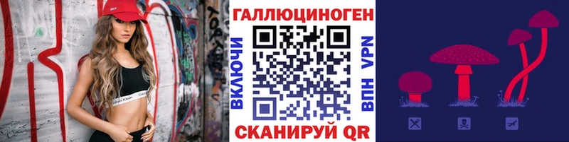 Псилоцибиновые грибы MAGIC MUSHROOMS  даркнет сайт  Буй 