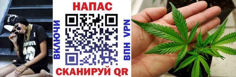 Канабис сатива Буй